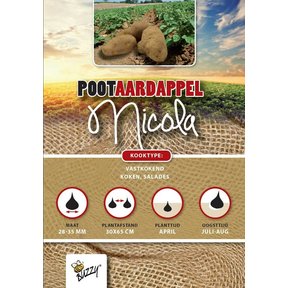 Pootaardappel Nicola 1kg kopen – Middellate Gele Aardappel | Buzzy Pootgoed