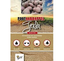 Pootaardappel Texla 1kg kopen – Rode Late Aardappel | Buzzy Pootgoed