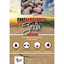 Pootaardappel Texla 1kg kopen – Rode Late Aardappel | Buzzy Pootgoed