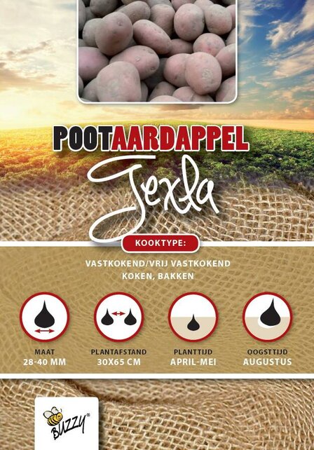 Pootaardappel Texla 1kg kopen – Rode Late Aardappel | Buzzy Pootgoed