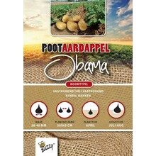 Pootaardappel Obama 1kg kopen – Vroege Gele Aardappel | Buzzy Pootgoed