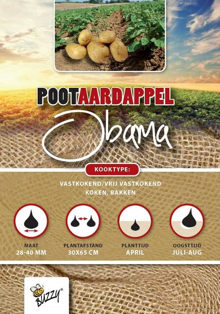 Pootaardappel Obama 1kg kopen – Vroege Gele Aardappel | Buzzy Pootgoed