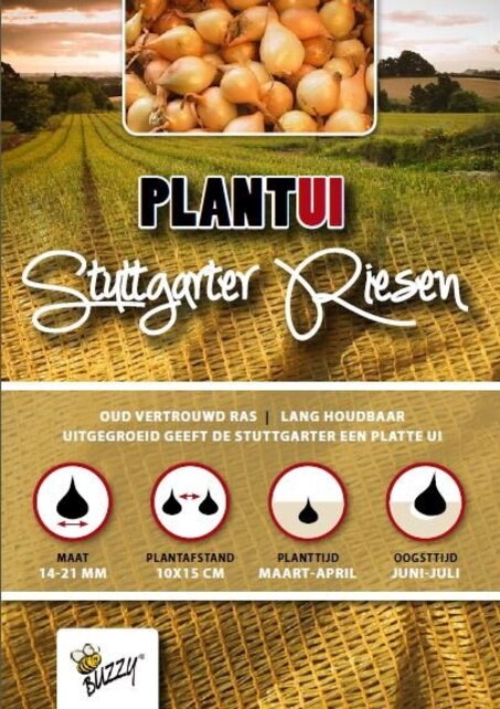 Plantuien Stuttgarter Riesen 250g – Grote Gele Uien | Sterk Ras & Goed Bewaarbaar