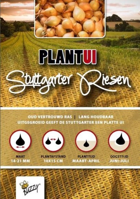 500 gram Plantuien Stuttgarter Riesen
