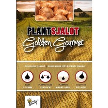 Plantsjalot Golden Gourmet 250 Gram