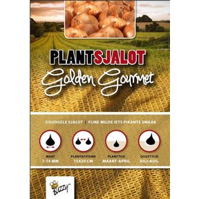Plantsjalotten Golden Gourmet 500g
