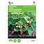 Moestuinplant Buzzy Bosaardbei Baron van Solemacher zaden