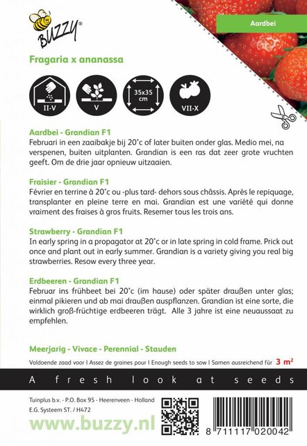 Grandian aardbei zaden