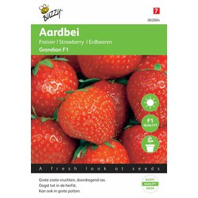 Aardbeien