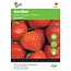 Moestuinplant Buzzy Grandian aardbei zaden