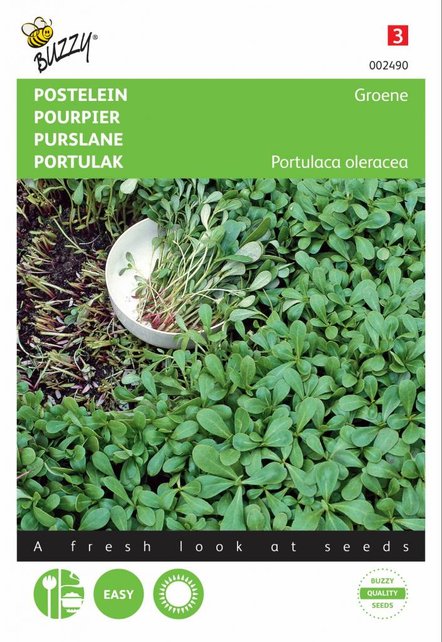 Groene postelein groentezaden