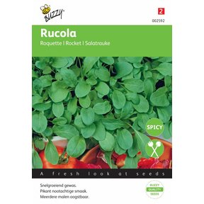 Rucola