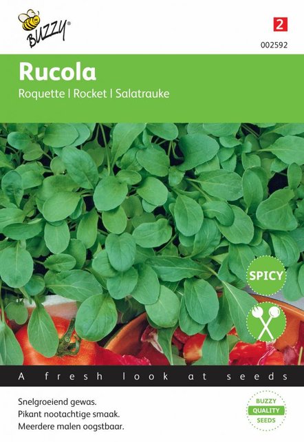 Rucola italiaanse snijgroente groentezaden Rucola italiaanse snijgroente groentezaden