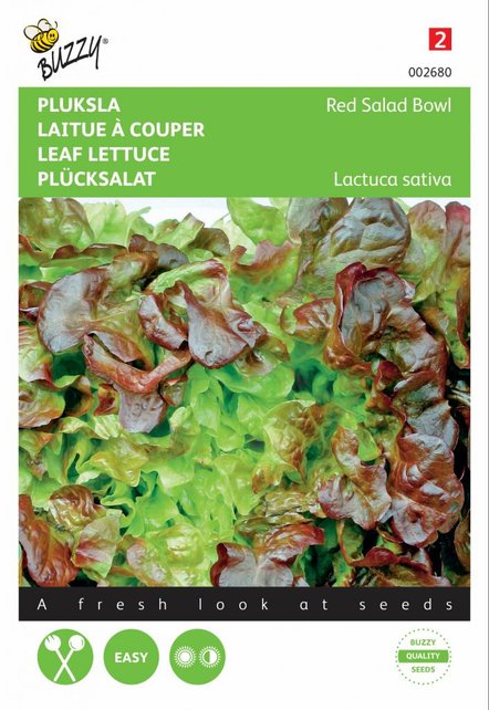 Pluksla eikenblad groentezaden Pluksla eikenblad groentezaden