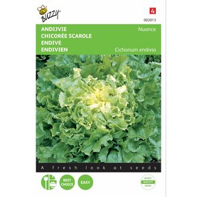 Andijvie