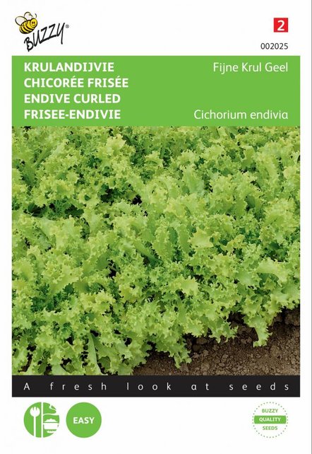 Krulandijvie Fijne Krul