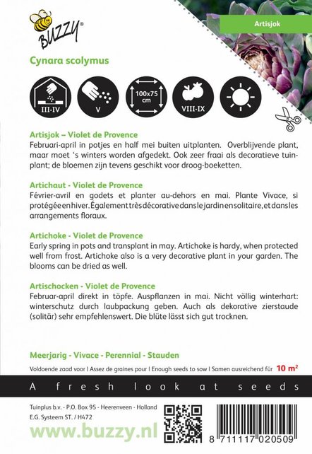 Artisjok Violet De Provence