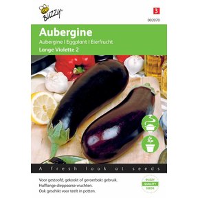 Aubergine