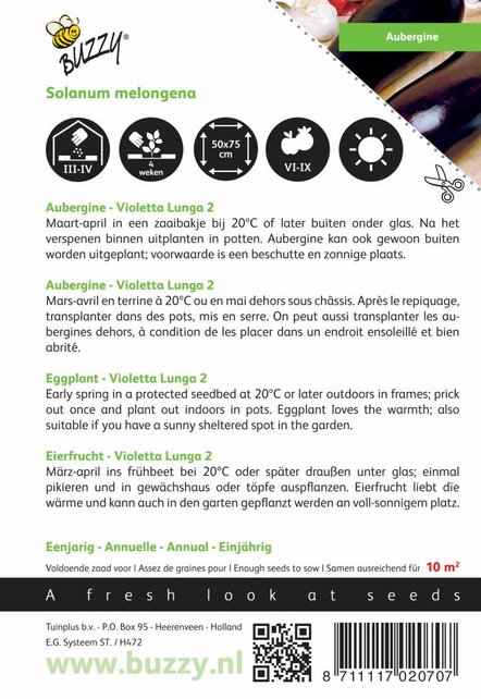 Aubergine Violetta Lunga 2