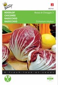 Roodlof ''Rossa di Chioggia 3'' ''rode witlof'' Roodlof ''Rossa di Chioggia 3'' ''rode witlof''
