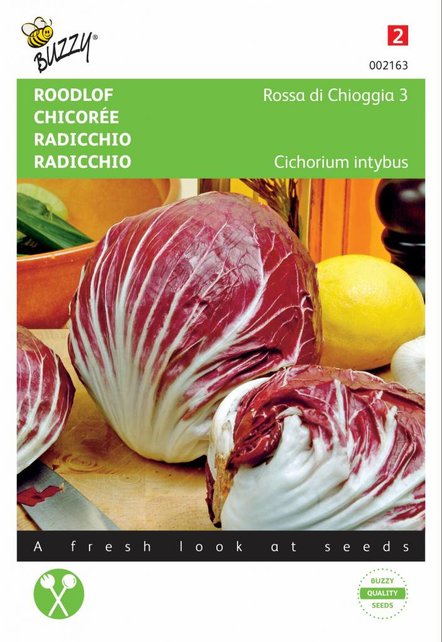 Roodlof ''Rossa di Chioggia 3'' ''rode witlof'' Roodlof ''Rossa di Chioggia 3'' ''rode witlof''