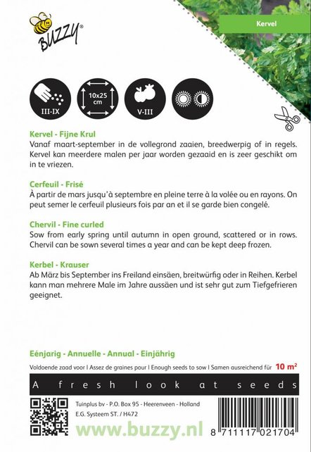 Kervel Fijne Krul Kervel Fijne Krul