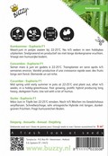 Komkommer Euphoria F1 zaden Komkommer Euphoria F1 zaden