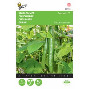 Komkommer