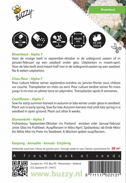 Bloemkool Alpha 7 zaden