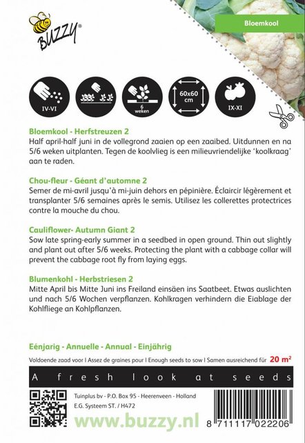 Bloemkool Herfstreuzen 2 zaden