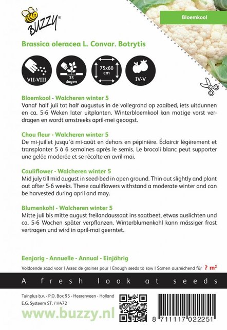 Bloemkool Walcheren Winter 5 zaden Bloemkool Walcheren Winter 5 zaden