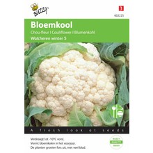 Bloemkool Winter