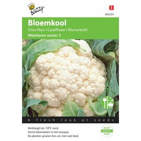 Bloemkool Winter