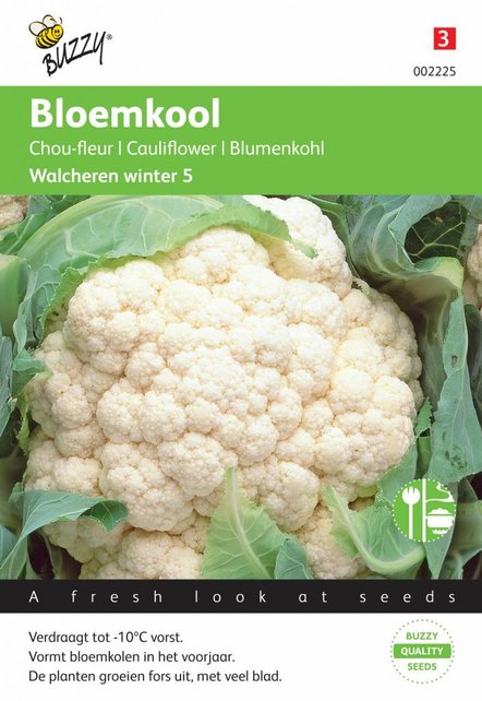 Bloemkool Walcheren Winter 5 zaden Bloemkool Walcheren Winter 5 zaden