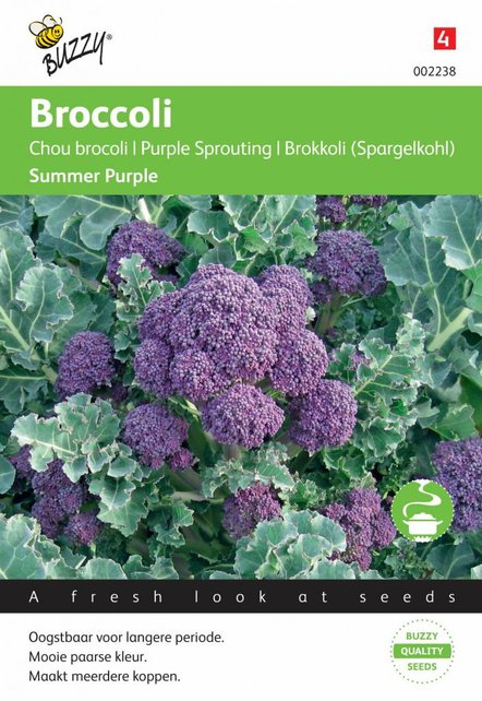 Broccoli Summer Purple zaden