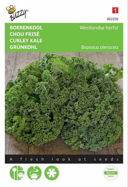 Boerenkool Westlandse Herfst zaden