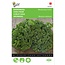 Moestuinplant Boerenkool Westlandse Herfst zaden