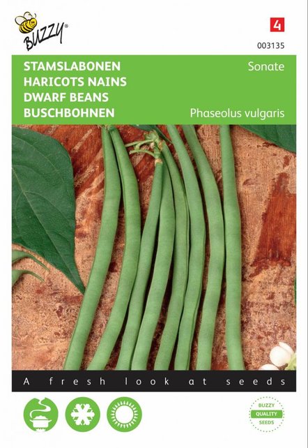 Stamslabonen Sonate zaden