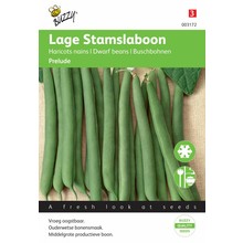 Stamslabonen Prelude