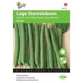 Stamslabonen Prelude