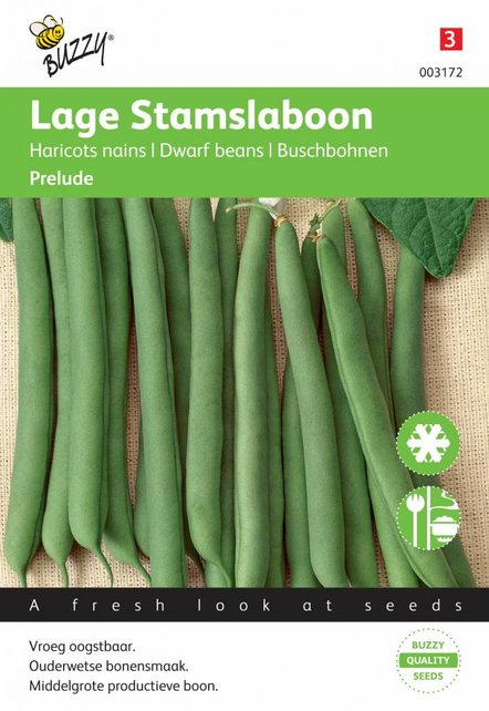 Stamslabonen Prelude zaden