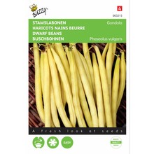 Stamslabonen Gondola