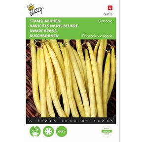 Stamslabonen Gondola