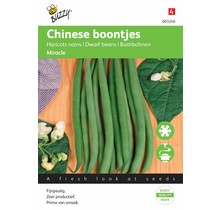 Chinese Boontjes Miracle zaden