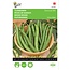 Moestuinplant Buzzy Tuinbonen Driemaal Wit zaden