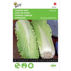 Chinese Kool zaden
