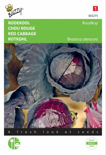 Rode kool Roodkop zaden