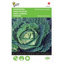 Donkergroene Savooiekoolzaden