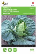 Wittekool Express zaden