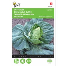 Witte kool Express